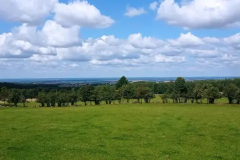 Zielona łąka i las na tle błękitnego nieba z chmurami. Rozległy krajobraz, który przypomina malownicze wzgórza dylewskie.