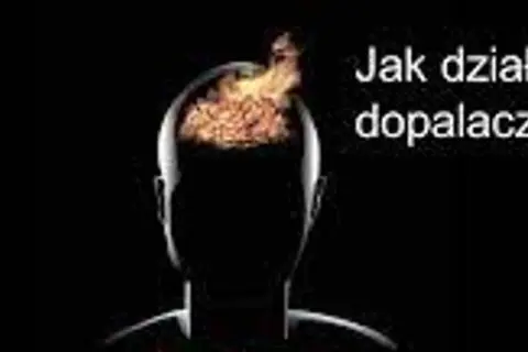 Filmy o dopalaczach: Co obejrzeć, by zrozumieć problem?