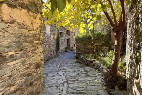 Calle empedrada en Patones de Arriba, con casas de piedra y un árbol frondoso de hojas amarillas.