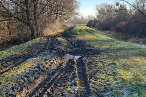 Błotnista ścieżka na wał przeciwpowodziowy, z widocznymi śladami opon i kałużami. Po lewej stronie las, po prawej trawa z pierwszym szronem.