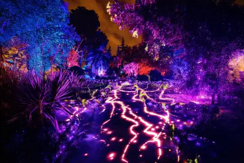 Un sendero serpenteante se ilumina con luces vibrantes, creando una mágica naturaleza encendida en Zaragoza. Árboles y plantas brillan con tonos azules, morados y rojos.