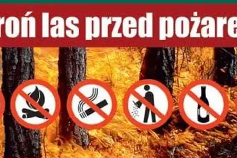 Chroń las przed ogniem! Zakaz rozpalania ogniska, palenia, śmiecenia, picia alkoholu i wjazdu samochodem.