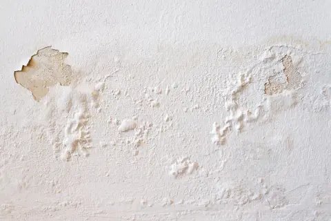 Abblätternde Farbe und Blasenbildung an einer weißen Wand zeigen deutlich, dass man eine feuchte Wand erkennen kann.