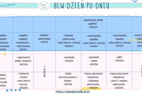 Jadłospis BLW na pierwszy miesiąc: warzywa, ryby, kasze i inne zdrowe propozycje dla malucha.