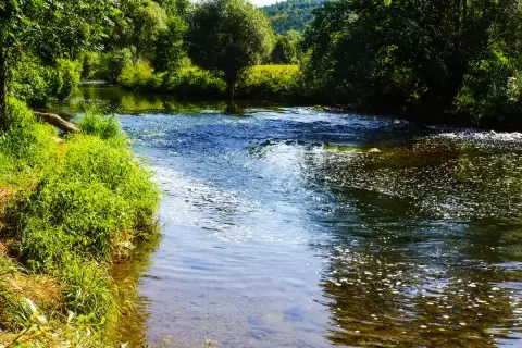 Grüner Uferbewuchs und Bäume säumen einen plätschernden Bach. Die Sonne spiegelt sich im Wasser, ideal zum Angeln am Bach.