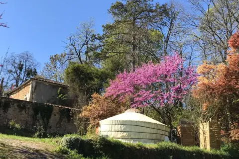 Une yourte d'hôtes en Dordogne, nichée au milieu d'arbres en fleurs et d'une végétation luxuriante, avec une maison en pierre en arrière-plan.