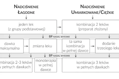 Leki na nadciśnienie: Kiedy poczujesz ulgę? Pełny efekt terapii