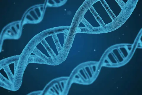Błękitne helisy DNA, symbol życia i innowacji, jakby stworzone przez synektik sa, unoszą się w przestrzeni.