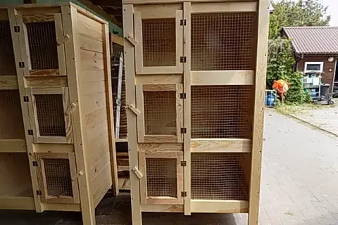 Jak zrobić klatkę dla królika - kompletna instrukcja krok po kroku