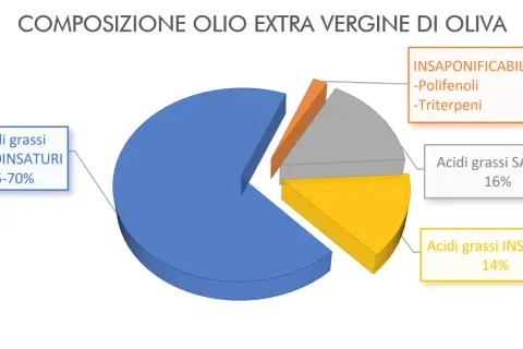 Grafico a torta sulla composizione dell'olio EVO: 55-70% acidi grassi monoinsaturi, 16% saturi, 14% insaturi. L'insaponificabile (2%) include polifenoli, rendendo l'olio più ricco di polifenoli.