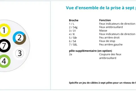 Schéma de la prise de remorque 7 pôles. Chaque broche a une couleur de fil associée pour les feux : jaune pour clignotant gauche, bleu pour antibrouillard, etc.