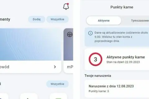 Czy sąd może dać punkty karne? Poznaj prawdę o ich przyznawaniu