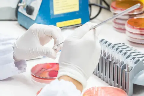 Biotechnologia medyczna co to? Odkryj jej znaczenie i zastosowania