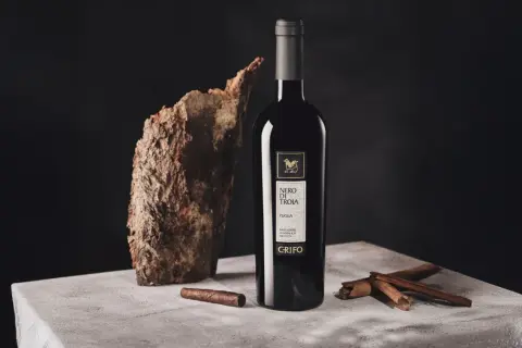 Bottiglia di vino nero di troia, con corteccia, sigaro e cannella su un tavolo di cemento.