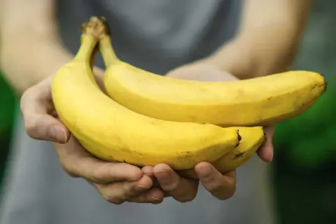 Mani che offrono due banane mature. Forse il detto "2 banane al giorno fanno male" è solo un mito?