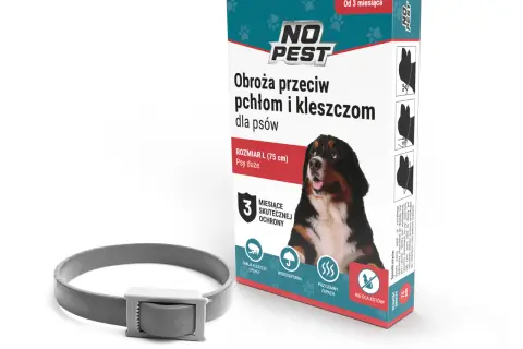 Najlepsza obroża przeciw kleszczom - skuteczność i porównania produktów