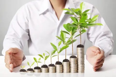 Oszczędności rosną jak drzewka na stosach monet. Dowiedz się, jak przelać pieniądze z konta oszczędnościowego na zwykłe, by Twoje finanse kwitły.