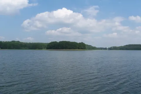 Spokojne jezioro z zielonymi lasami na horyzoncie i białymi chmurami na niebieskim niebie.