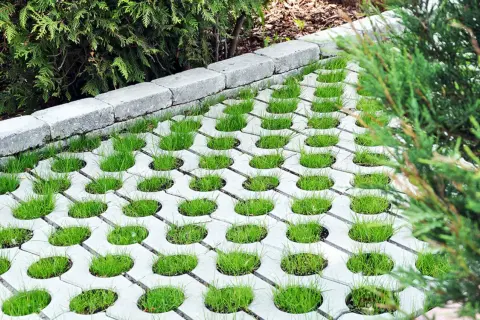 Podjazd z płyt ażurowych: Zbuduj go sam! Kompletny poradnik DIY