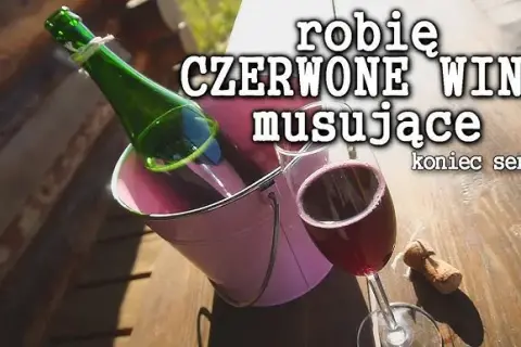 Jak zrobić wino musujące w domu - proste i zaawansowane metody