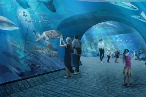 Rodzina podziwia rekiny i żółwie w podwodnym tunelu. Sprawdź oceanarium Gdańsk cennik i zaplanuj wizytę!
