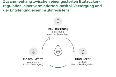 Diagramm zeigt den Kreislauf: verminderte Inositol-Werte beeinflussen die Insulinwirkung und Blutzuckerregulation, was zu Insulinresistenz führt. Die inositol wirkung ist hier zentral.