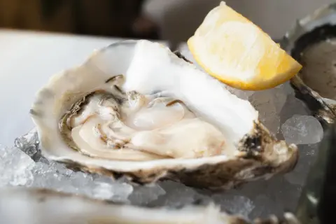 Ostra fresca servida sobre hielo, lista para disfrutar. Un toque de limón realza el sabor de este marisco, perfecto para una experiencia culinaria en Zaragoza.