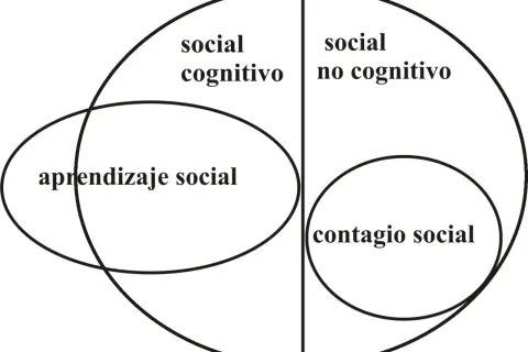 Diagrama de Venn que ilustra el aprendizaje social, dividiendo los conceptos en "social cognitivo" y "social no cognitivo", con "contagio social" como subcategoría.