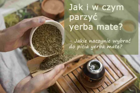 Wsypywanie suszu yerba mate, zioła leczniczego, do naczynia. Obok stoi już przygotowana tykwa z bombillą.