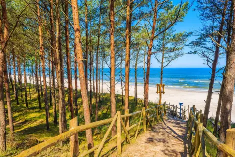Ścieżka przez sosnowy las prowadzi na jedną z najpiękniejszych polskich plaż nad Bałtykiem. Piasek, morze i błękitne niebo.