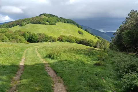 Sentiero erboso che sale verso il verdeggiante passo del Cerreto, con alberi e nuvole scure all'orizzonte.