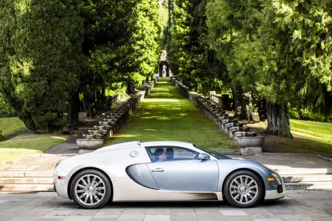 Srebrno-biały Bugatti Veyron na tle alei wysadzanej drzewami i kamiennymi schodami.