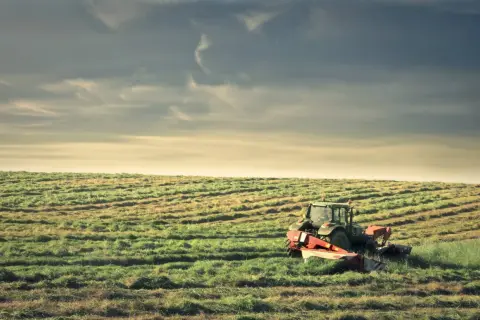 Traktor kosi trawę na polu. To obraz dziedziczenia ziemi rolnej przez nie rolnika, który musi nauczyć się pracy na roli.