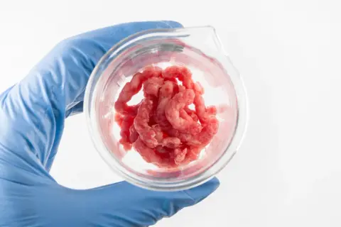 Rękawiczka z laboratorium trzyma szklaną zlewkę z mielonym mięsem. Badanie nad listeria jak się pozbyć.
