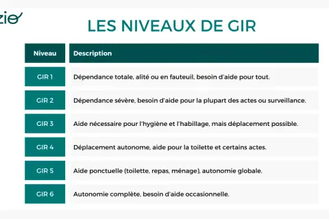 Tableau des niveaux de GIR, du GIR 1 (dépendance totale) au GIR 6 (autonomie complète, besoin d'aide occasionnelle).