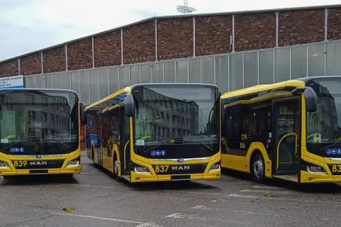 Nowe żółte autobusy MAN gotowe do kursowania między Gdańskiem a Katowicami.