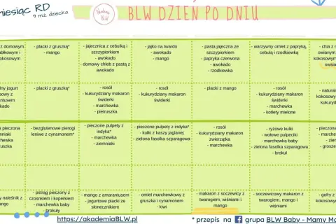 Jadłospis BLW dla 9-miesięcznego dziecka: rozszerzanie diety, ile posiłków dziennie. Propozycje dań na cały dzień.
