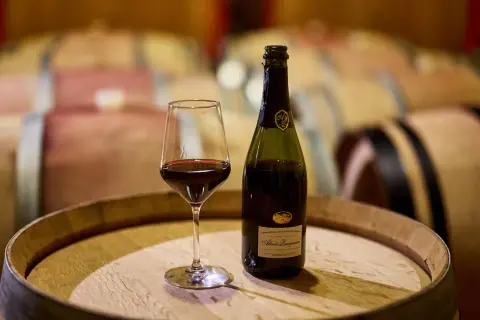 Calice di vernaccia serrapetrona e bottiglia su una botte di legno, con botti in cantina sullo sfondo.