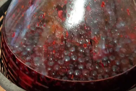 Fermentujący wino wieloowocowe przepis. Widoczne owoce i bąbelki w szkle.