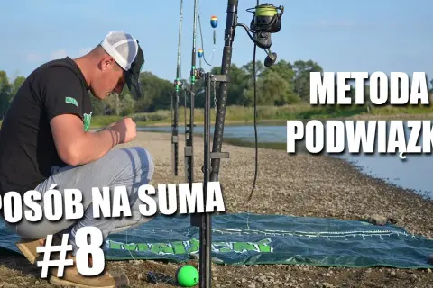Jak skutecznie zbroić żywca na suma, unikając typowych błędów