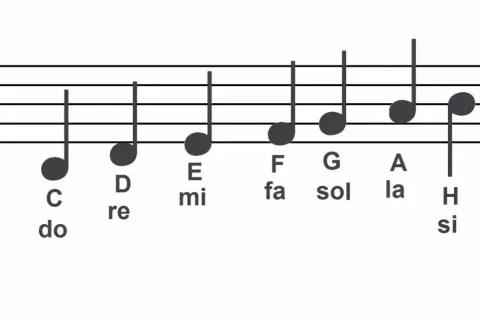 Jak wyglądają nuty na pięciolinii i co oznaczają w muzyce