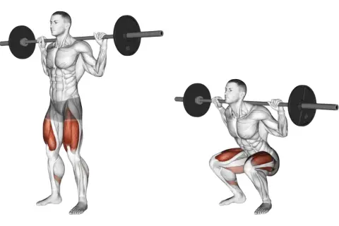 Homme effectuant un squat avec barre, montrant le squat muscle sollicité.