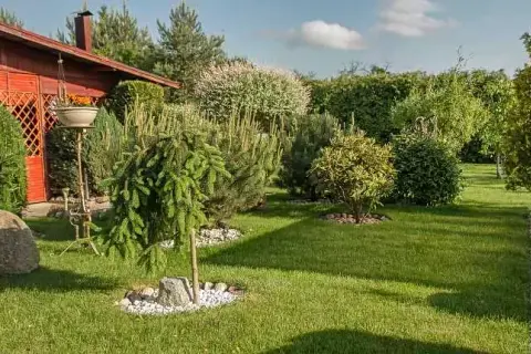 Pielęgnacja Ogrodów: Jakie Są Ceny? Zadbaj o Zieleń Bez Stresu