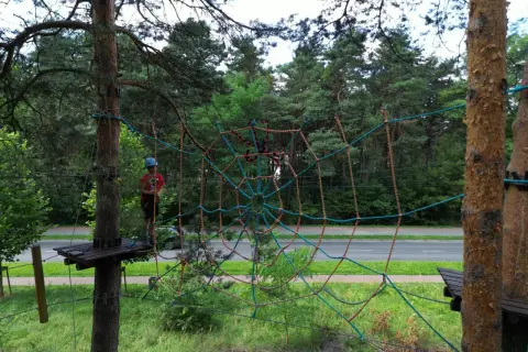Park Linowy Jura Złoty Potok: Ceny, Trasy, Bezpieczeństwo. Idealny dla rodzin!