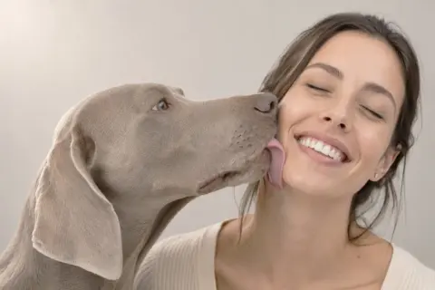 Ein Hund leckt mich ab, ein liebevoller Zungenkuss von meinem besten Freund.