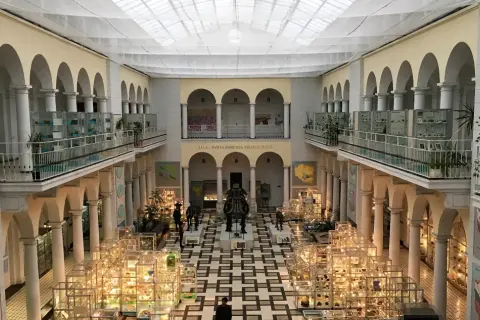 Wnętrze muzeum sztuki w Polsce z gablotami pełnymi eksponatów, rzeźbami i arkadami.