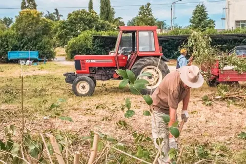 Jak napisać oświadczenie o pracy w gospodarstwie rolnym bez błędów?