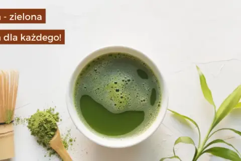 Na co dobra jest matcha? Odkryj jej niezwykłe korzyści zdrowotne