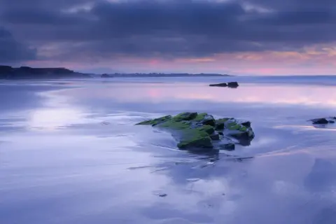 Reflejos púrpuras en la playa de Foz al amanecer. Rocas cubiertas de musgo emergen de la arena mojada, bajo un cielo dramático.