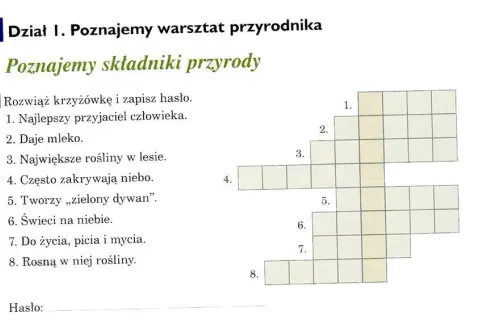 Wino jak drzewo – odkryj tajemnice krzyżówek i odpowiedzi